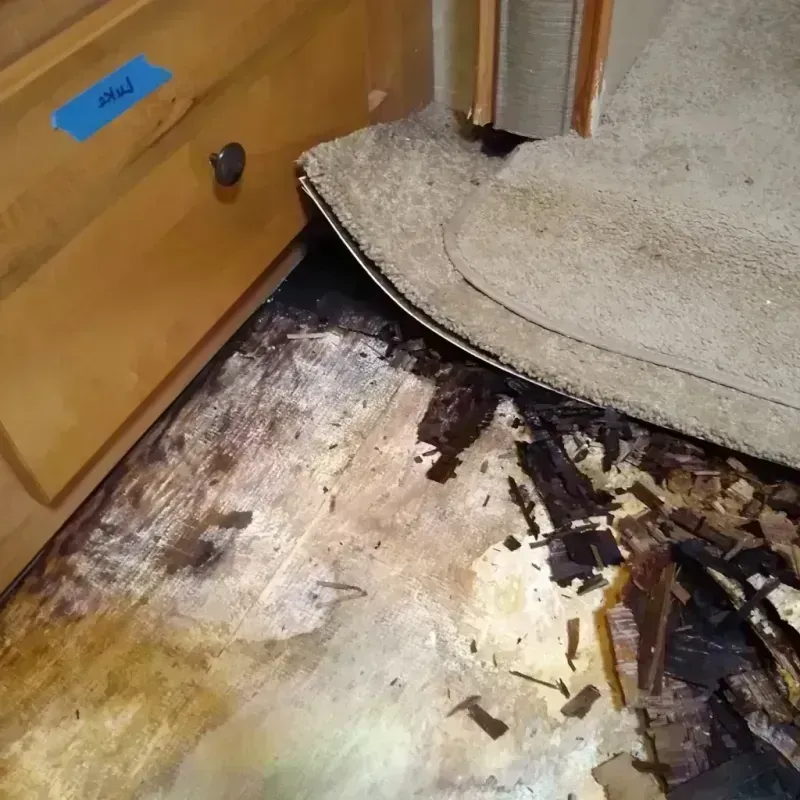 Wood Floor Water Damage in South Lyon, MI